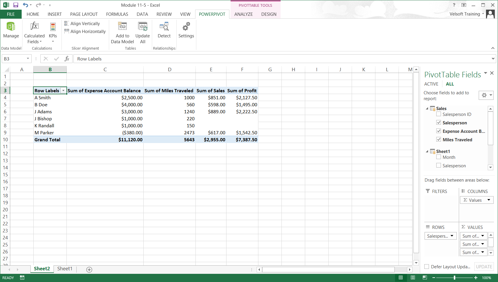 PivotTable with data